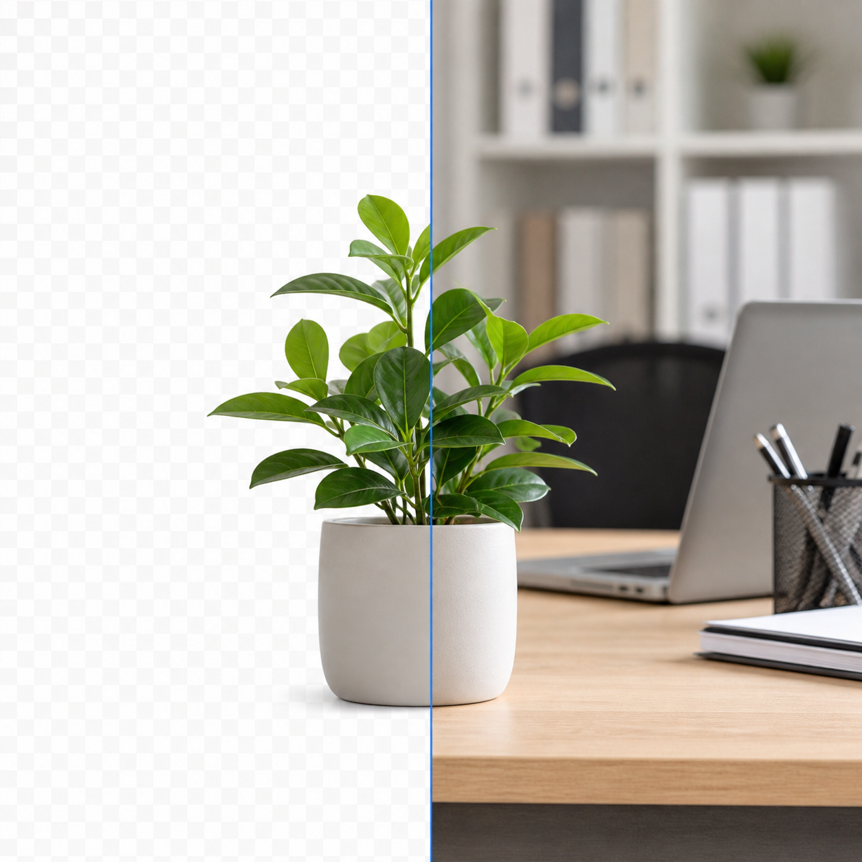 Free background remover — bulk image and group photo cutouts